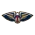 New Orleans Pelicans Logo